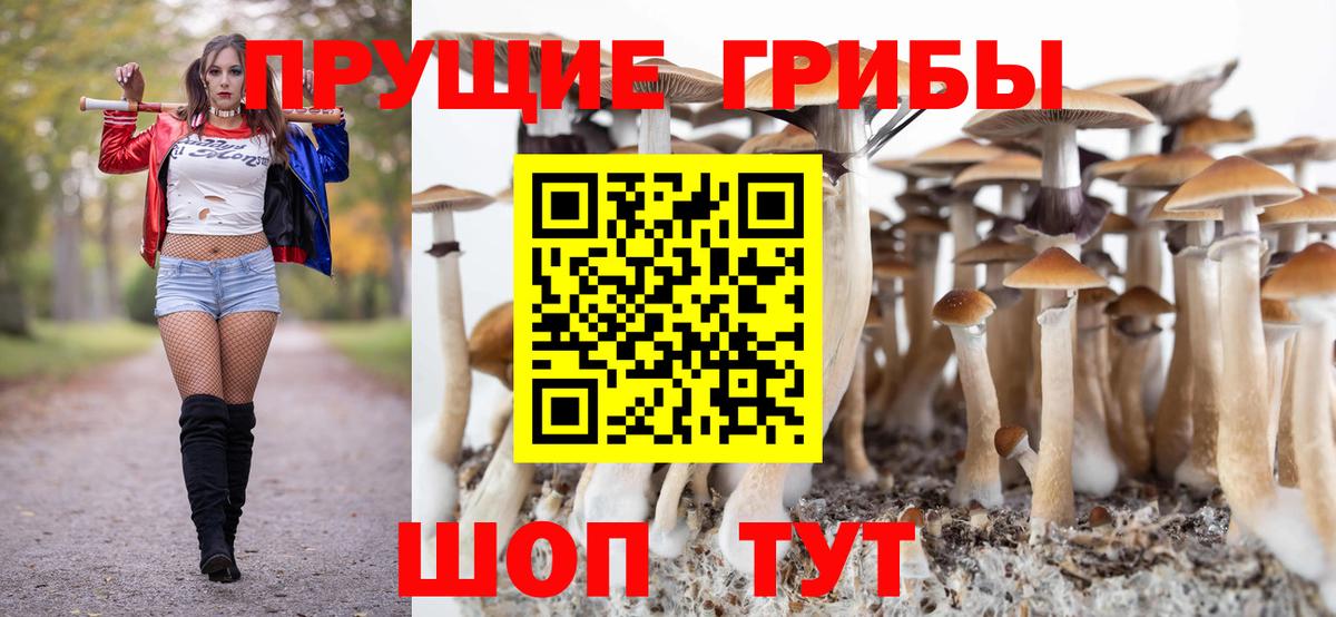 Псилоцибиновые грибы Psilocybine cubensis Азнакаево