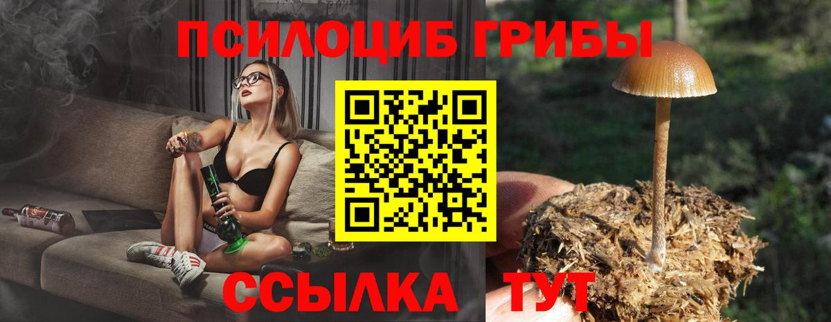 Азнакаево  Псилоцибиновые грибы ЛСД  Вход с VPN 